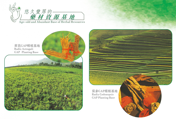 Chinese herbal medicine planting base