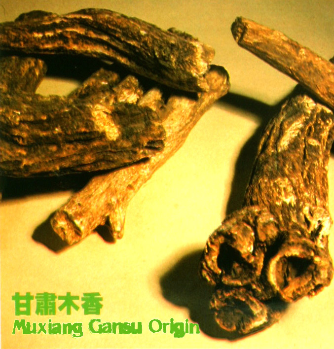 Muxiang Gansu Origin