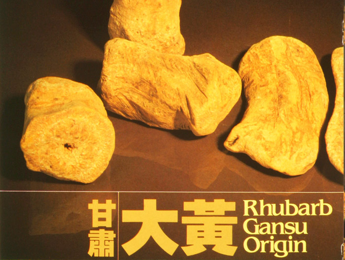 Rhubarb,Gansu Origin